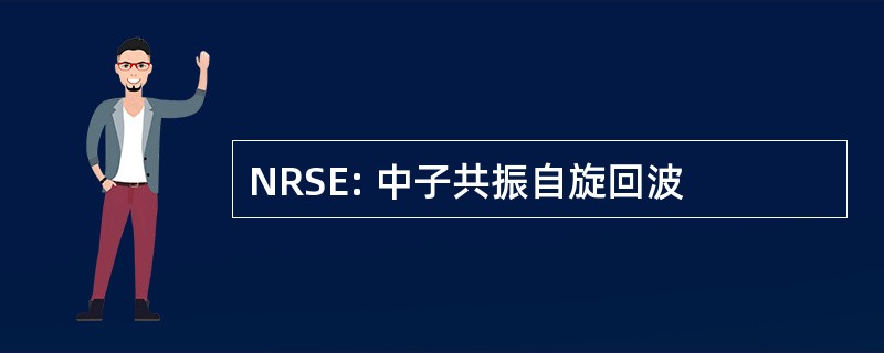 NRSE: 中子共振自旋回波