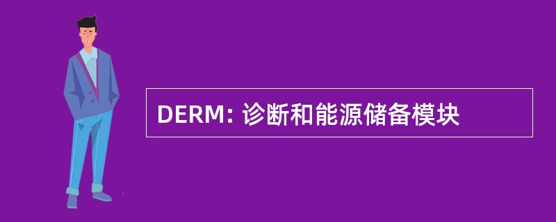 DERM: 诊断和能源储备模块