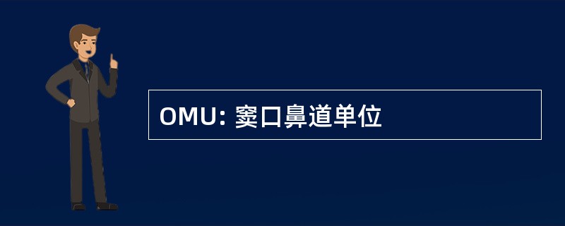 OMU: 窦口鼻道单位