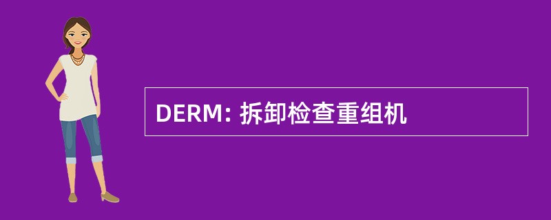 DERM: 拆卸检查重组机