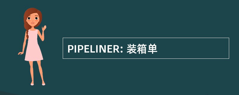 PIPELINER: 装箱单