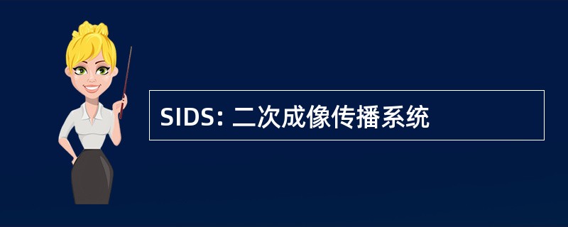 SIDS: 二次成像传播系统