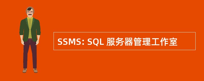 SSMS: SQL 服务器管理工作室