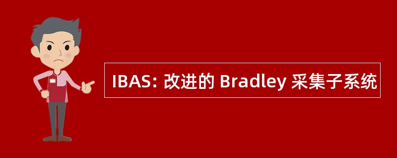 IBAS: 改进的 Bradley 采集子系统