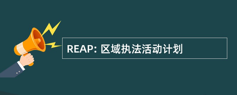 REAP: 区域执法活动计划