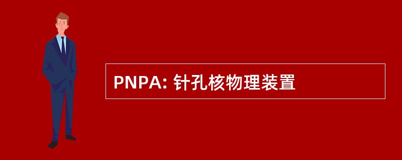 PNPA: 针孔核物理装置