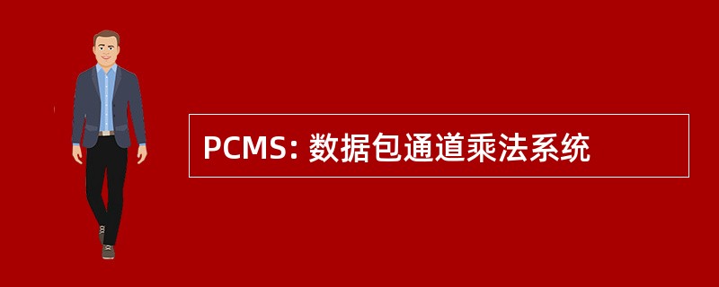 PCMS: 数据包通道乘法系统