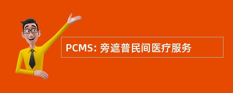 PCMS: 旁遮普民间医疗服务