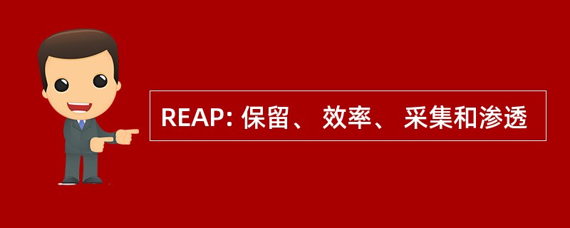 REAP: 保留、 效率、 采集和渗透