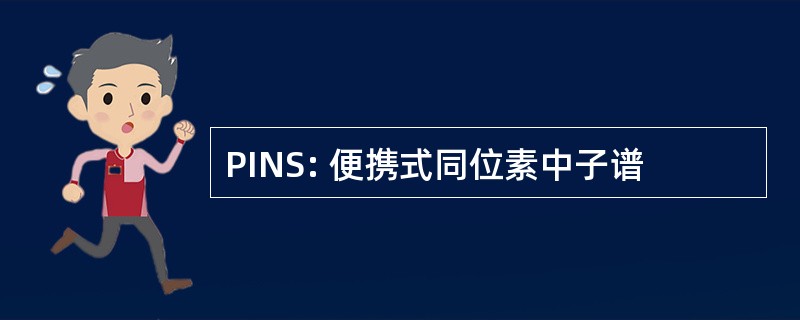 PINS: 便携式同位素中子谱