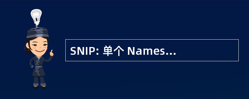 SNIP: 单个 Namespace 即时消息协议