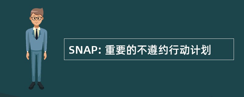 SNAP: 重要的不遵约行动计划