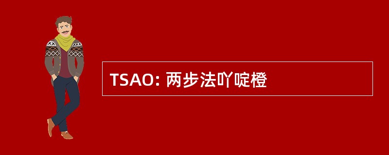 TSAO: 两步法吖啶橙