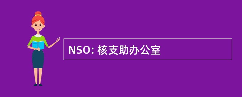 NSO: 核支助办公室