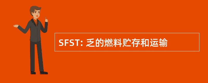 SFST: 乏的燃料贮存和运输