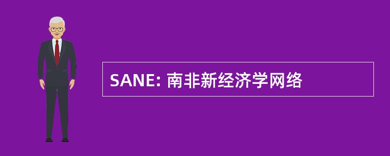 SANE: 南非新经济学网络