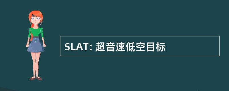 SLAT: 超音速低空目标