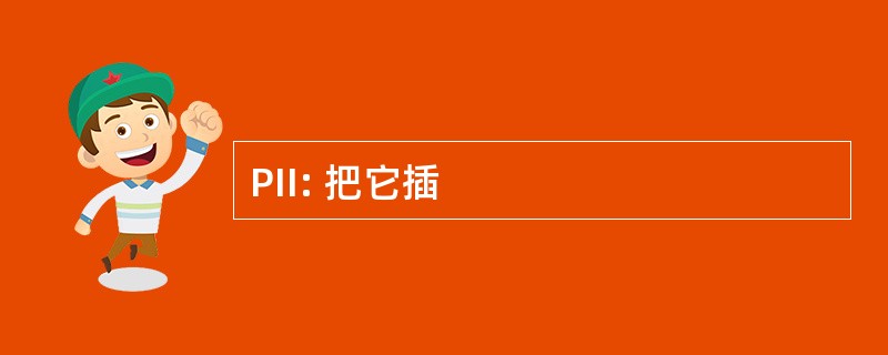 PII: 把它插