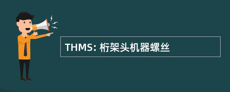 THMS: 桁架头机器螺丝