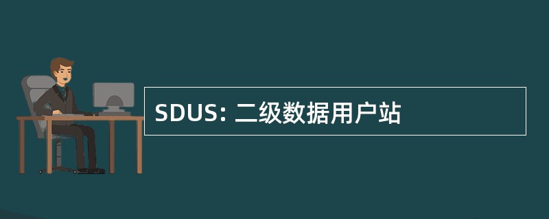 SDUS: 二级数据用户站