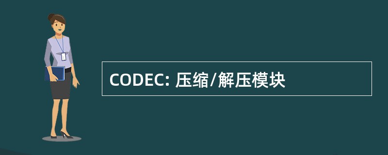 CODEC: 压缩/解压模块