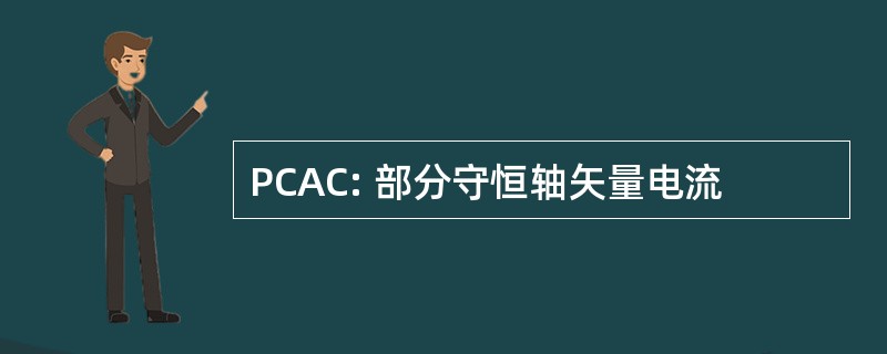 PCAC: 部分守恒轴矢量电流