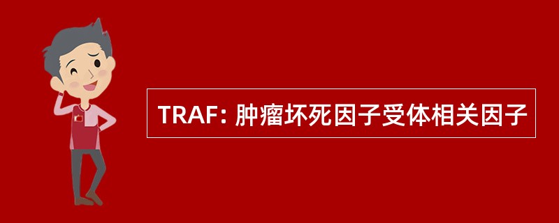 TRAF: 肿瘤坏死因子受体相关因子