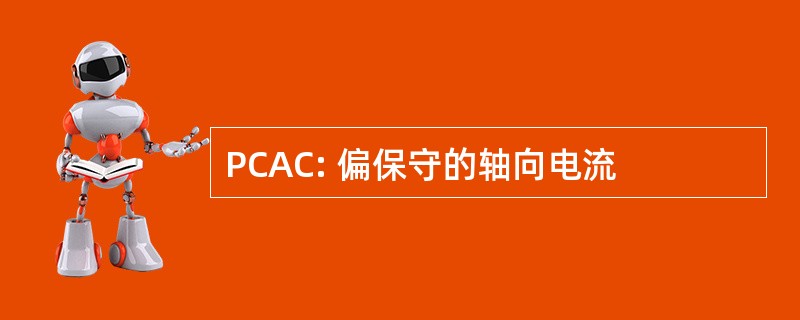 PCAC: 偏保守的轴向电流