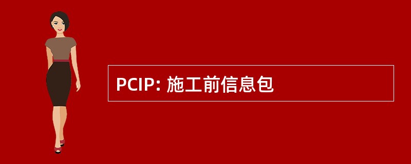 PCIP: 施工前信息包