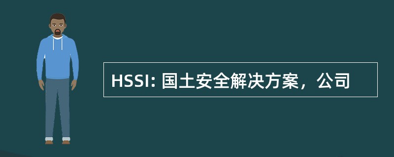 HSSI: 国土安全解决方案，公司