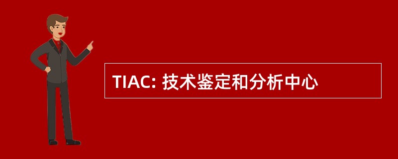 TIAC: 技术鉴定和分析中心