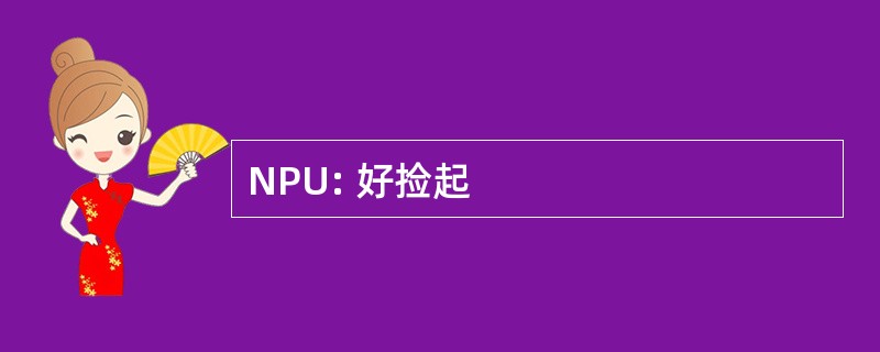 NPU: 好捡起