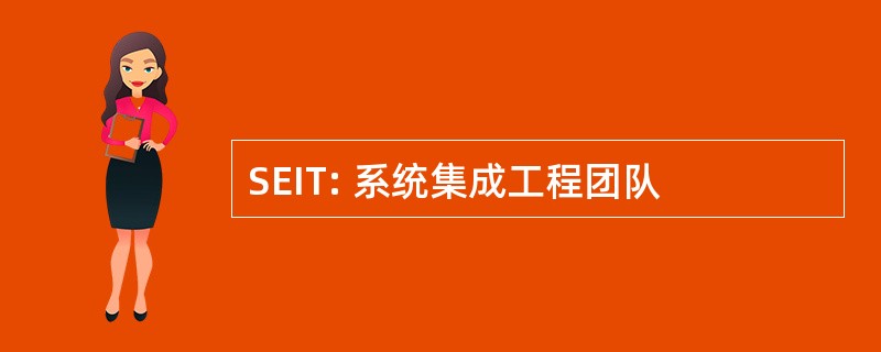 SEIT: 系统集成工程团队