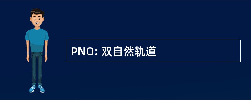 PNO: 双自然轨道