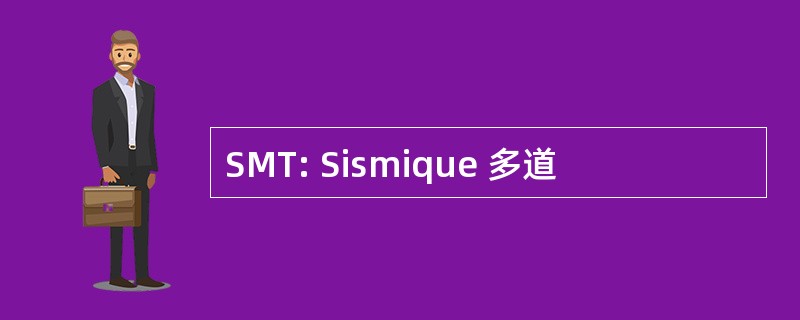 SMT: Sismique 多道