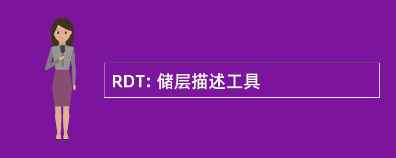 RDT: 储层描述工具