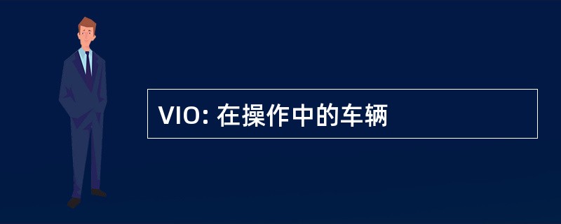 VIO: 在操作中的车辆