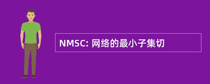 NMSC: 网络的最小子集切