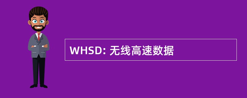 WHSD: 无线高速数据