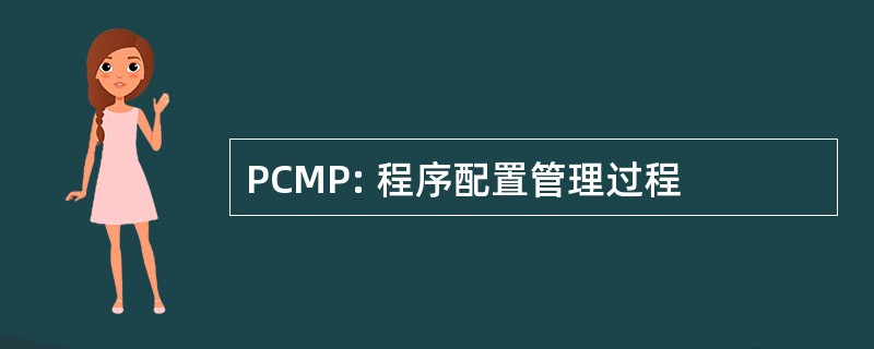 PCMP: 程序配置管理过程