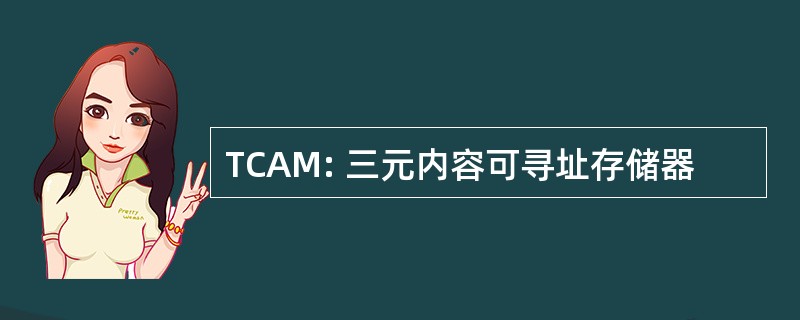 TCAM: 三元内容可寻址存储器