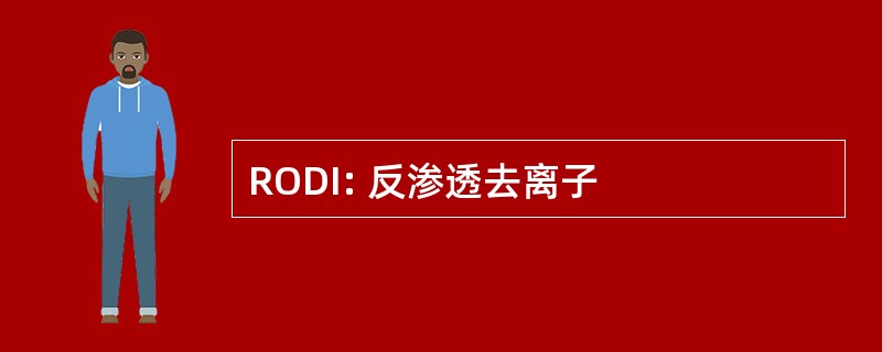 RODI: 反渗透去离子