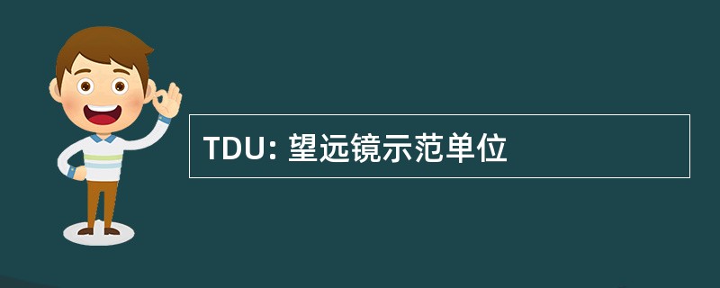 TDU: 望远镜示范单位