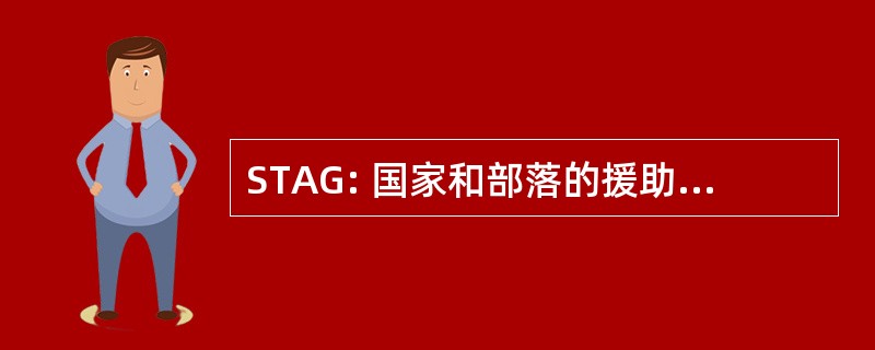 STAG: 国家和部落的援助赠款程序，