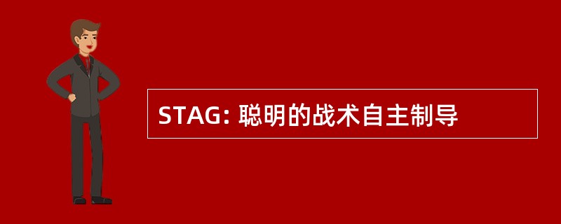 STAG: 聪明的战术自主制导