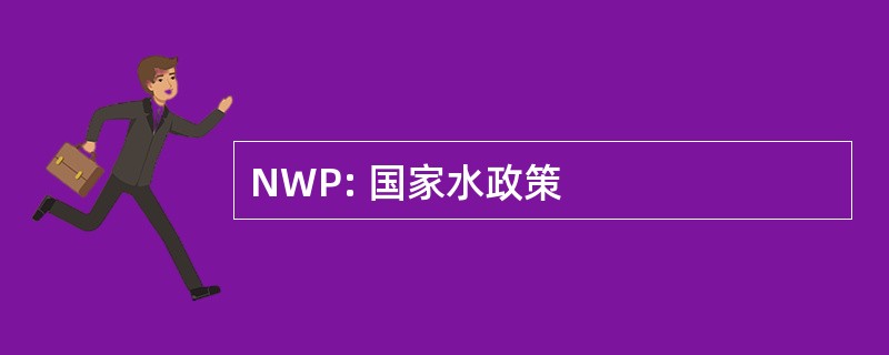 NWP: 国家水政策