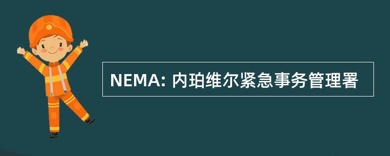 NEMA: 内珀维尔紧急事务管理署