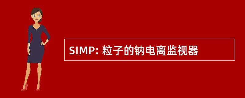 SIMP: 粒子的钠电离监视器