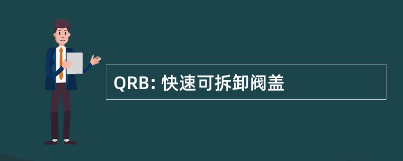 QRB: 快速可拆卸阀盖