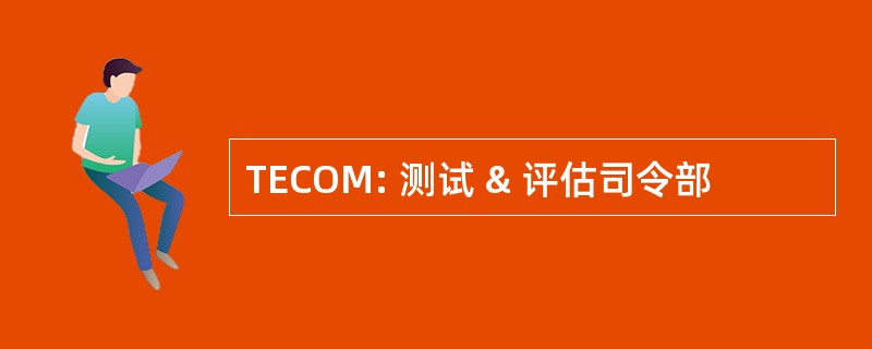 TECOM: 测试 & 评估司令部